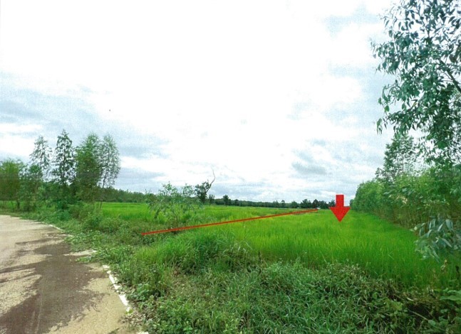 รูปที่ดินว่างเปล่า โคกกลาง เพ็ญ อุดรธานี