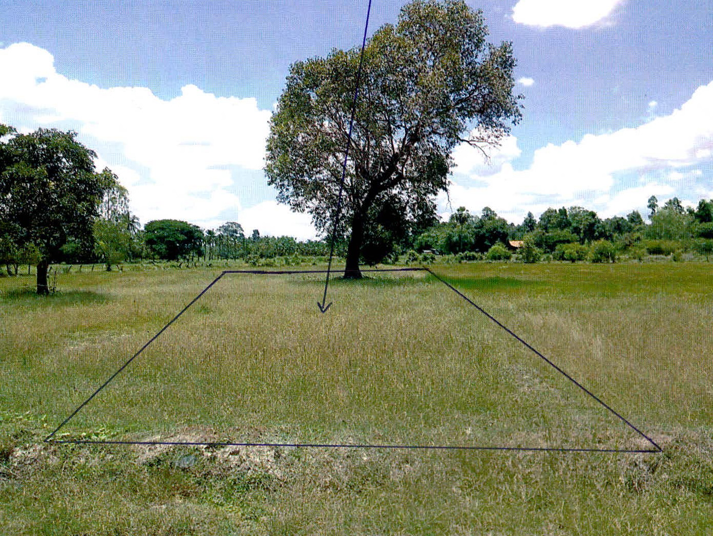 รูปที่ดินว่างเปล่า ปะอาว เมืองอุบลราชธานี อุบลราชธานี