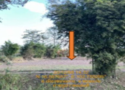 รูปที่ดินว่างเปล่า บ้านค้อ เมืองขอนแก่น ขอนแก่น