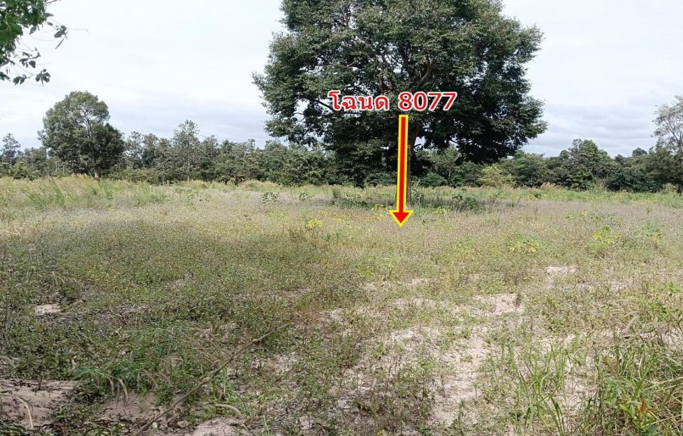 รูปที่ดินว่างเปล่า สงยาง ศรีเมืองใหม่ อุบลราชธานี
