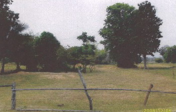 รูปที่ดินว่างเปล่า หนองแวง เมืองร้อยเอ็ด ร้อยเอ็ด