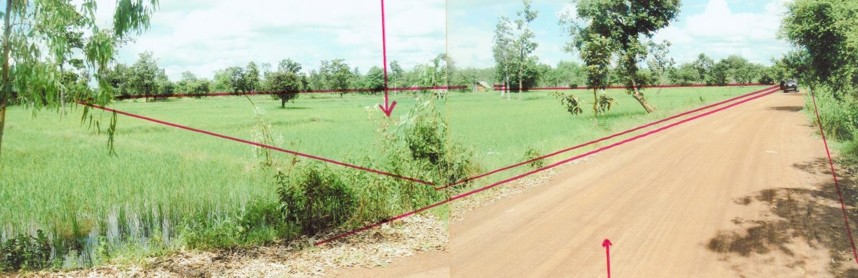 รูปที่ดินว่างเปล่า หนองหว้า กันทรลักษ์ ศรีสะเกษ