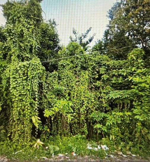 รูปที่ดินว่างเปล่า สากอ สุไหงปาดี นราธิวาส