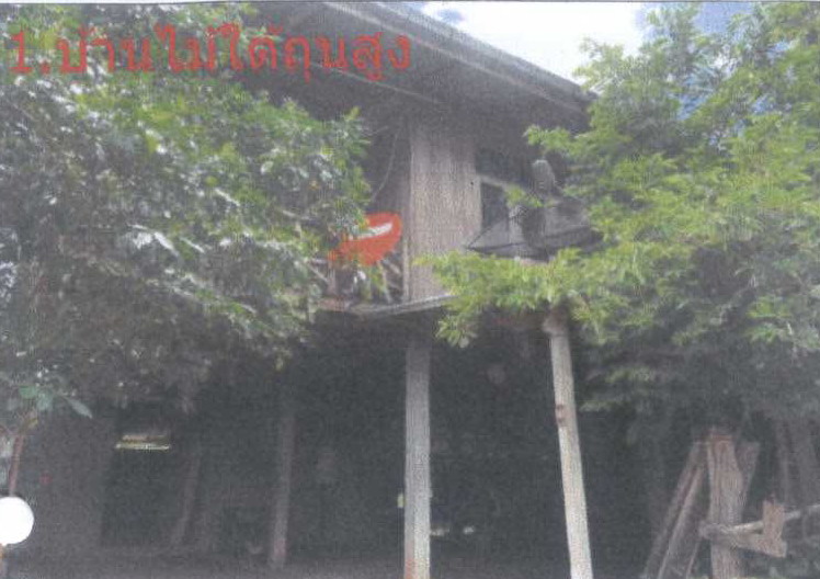รูปที่ดินพร้อมสิ่งปลูกสร้าง บ้านเป้า หนองสูง มุกดาหาร