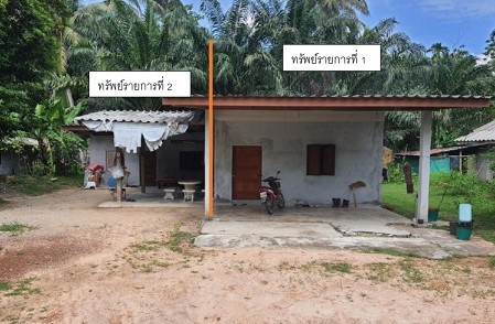 รูปที่ดินพร้อมสิ่งปลูกสร้าง เขาวิเศษ วังวิเศษ ตรัง