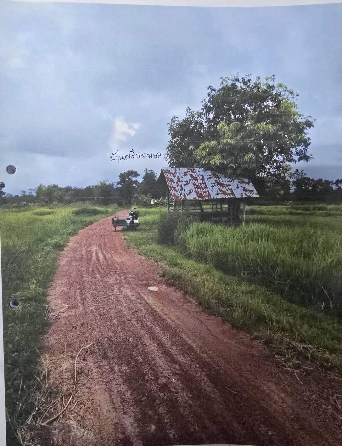 รูปที่ดินว่างเปล่า หนองหัวช้าง พรเจริญ บึงกาฬ