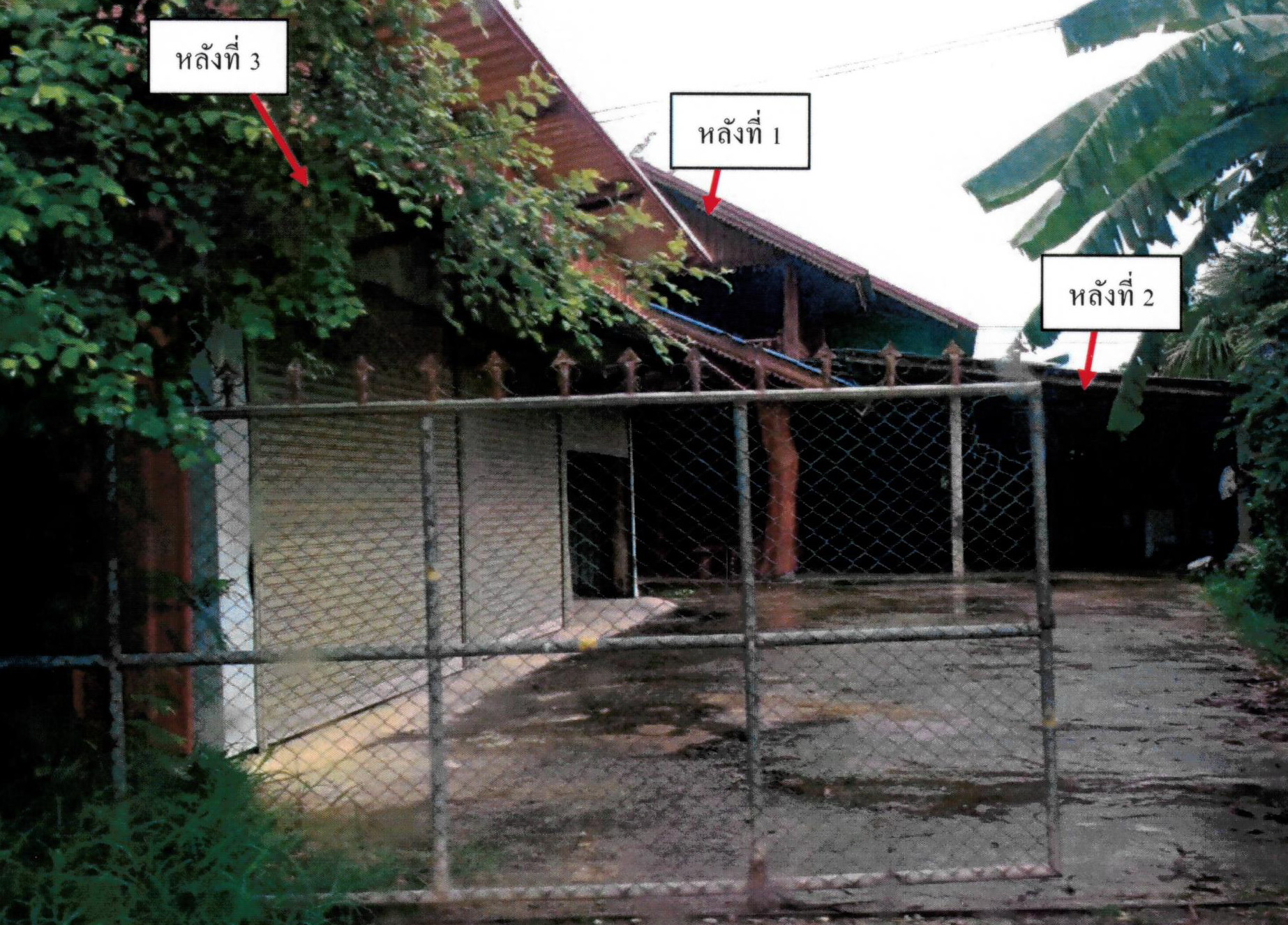 รูปที่ดินพร้อมสิ่งปลูกสร้าง งิ้ว เทิง เชียงราย