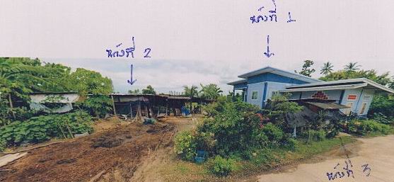 รูปที่ดินพร้อมสิ่งปลูกสร้าง สามพวง คีรีมาศ สุโขทัย