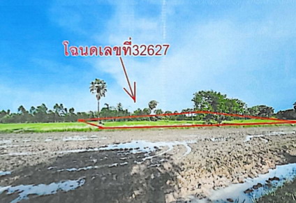 รูปที่ดินว่างเปล่า หนองแก้ว ประจันตคาม ปราจีนบุรี