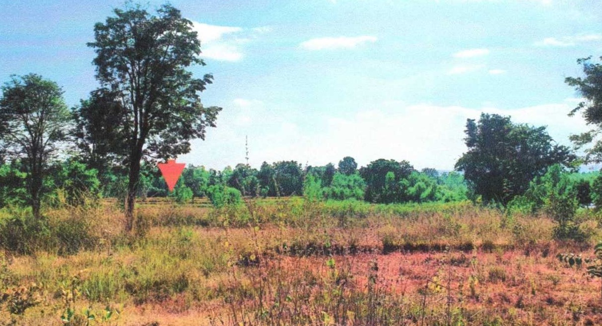 รูปที่ดินว่างเปล่า โนนเมือง โนนสัง หนองบัวลำภู