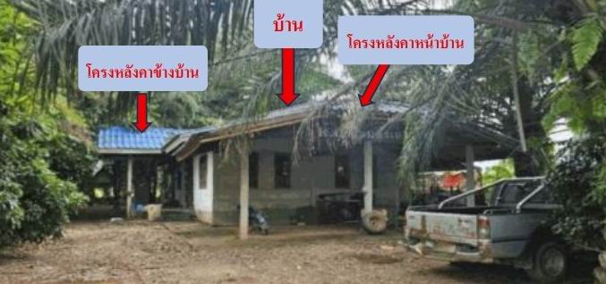รูปที่ดินพร้อมสิ่งปลูกสร้าง จุมพล โพนพิสัย หนองคาย