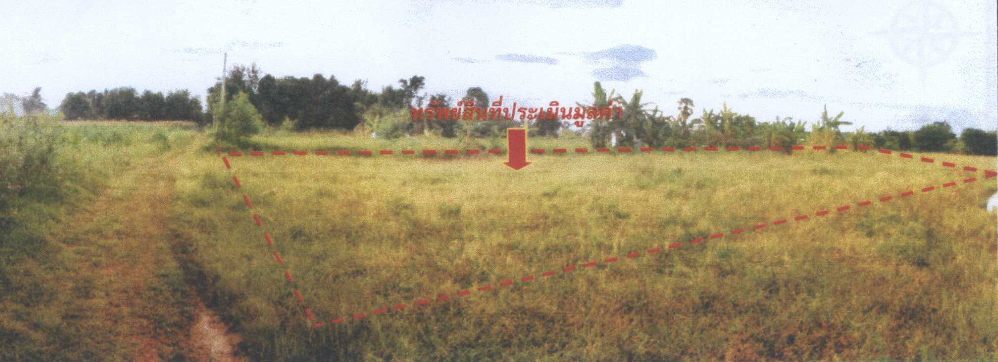 รูปที่ดินว่างเปล่า กุดน้อย สีคิ้ว นครราชสีมา