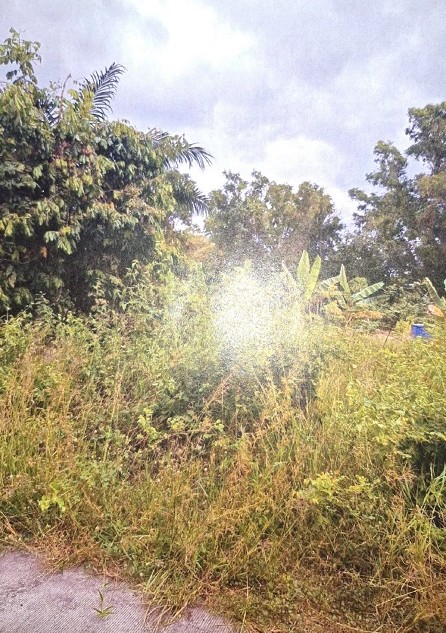 รูปที่ดินว่างเปล่า ธาตุเชิงชุม เมืองสกลนคร สกลนคร