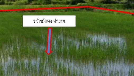 รูปที่ดินว่างเปล่า เดื่อศรีคันไชย วานรนิวาส สกลนคร