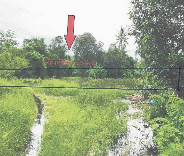 รูปที่ดินว่างเปล่า วังประจบ เมืองตาก ตาก