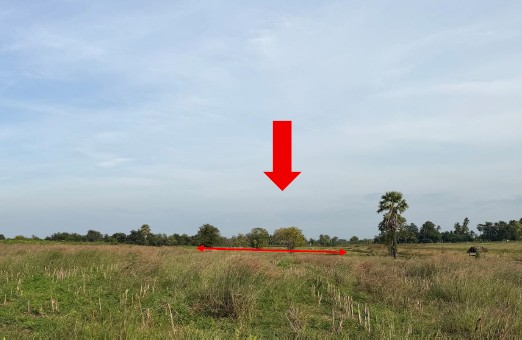 รูปที่ดินว่างเปล่า หนองปลิง เมืองนครสวรรค์ นครสวรรค์