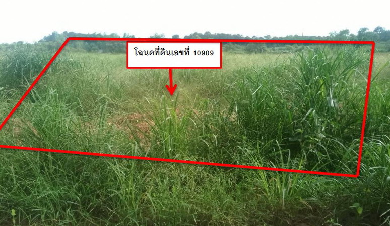 รูปที่ดินว่างเปล่า บ้านฝาง สระใคร หนองคาย