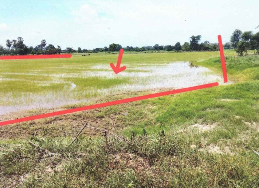 รูปที่ดินว่างเปล่า ท่าขมิ้น โพทะเล พิจิตร
