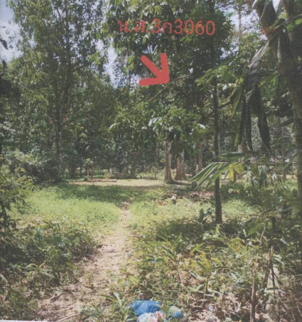 รูปที่ดินว่างเปล่า ทุ่งนุ้ย ควนกาหลง สตูล