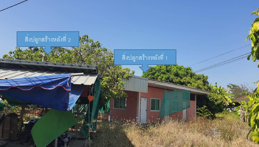รูปที่ดินพร้อมสิ่งปลูกสร้าง มะขามหลวง สันป่าตอง เชียงใหม่