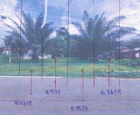 รูปที่ดินว่างเปล่า ทุ่งไทรทอง ลำทับ กระบี่