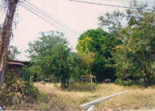 รูปที่ดินว่างเปล่า อาจสามารถ อาจสามารถ ร้อยเอ็ด