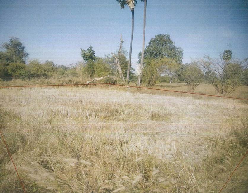 รูปที่ดินว่างเปล่า ก่อเอ้ เขื่องใน อุบลราชธานี
