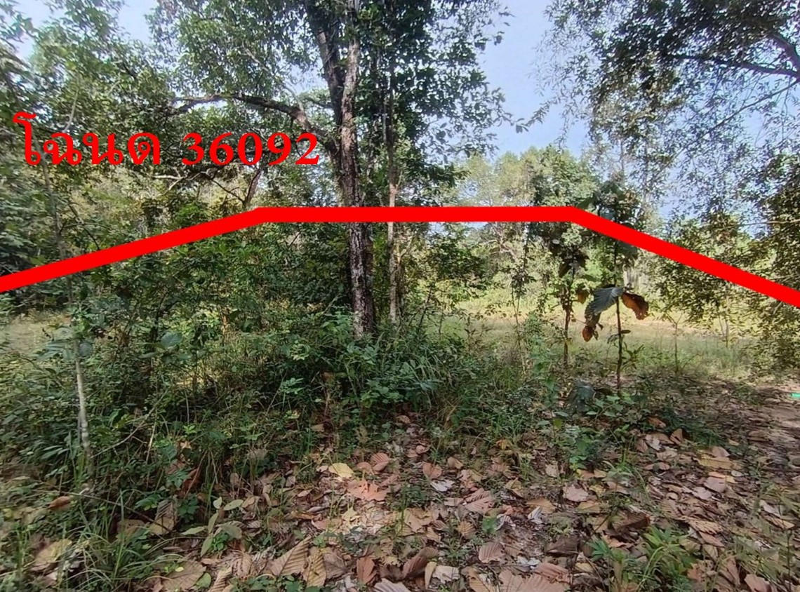 รูปที่ดินว่างเปล่า แก้งเหนือ เขมราฐ อุบลราชธานี