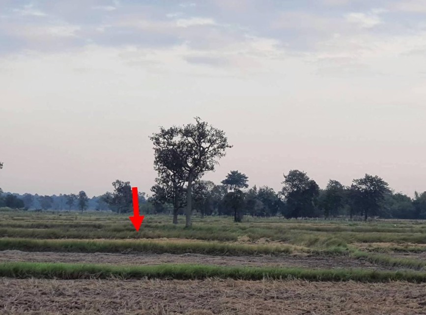 รูปที่ดินว่างเปล่า สร้างถ่อ เขื่องใน อุบลราชธานี
