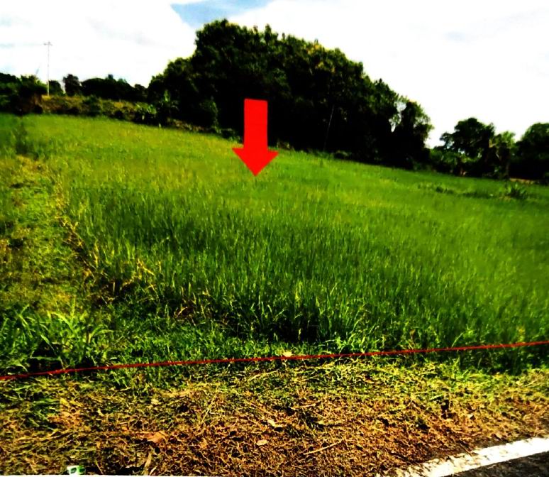 รูปที่ดินว่างเปล่า ชานุมาน ชานุมาน อำนาจเจริญ