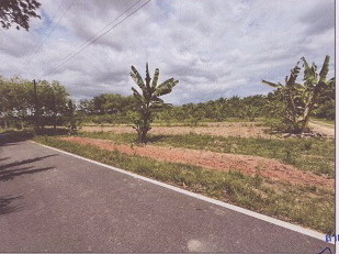 รูปที่ดินว่างเปล่า ท่าพญา ปะเหลียน ตรัง