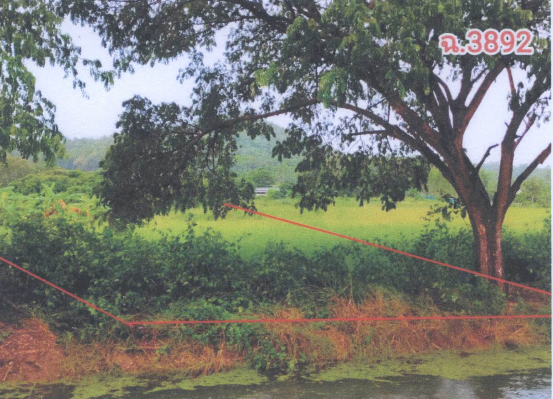 รูปที่ดินว่างเปล่า ห้วยแก้ว ภูกามยาว พะเยา