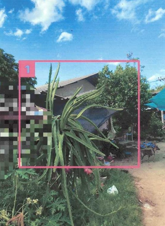 รูปที่ดินพร้อมสิ่งปลูกสร้าง บางนาค เมืองนราธิวาส นราธิวาส