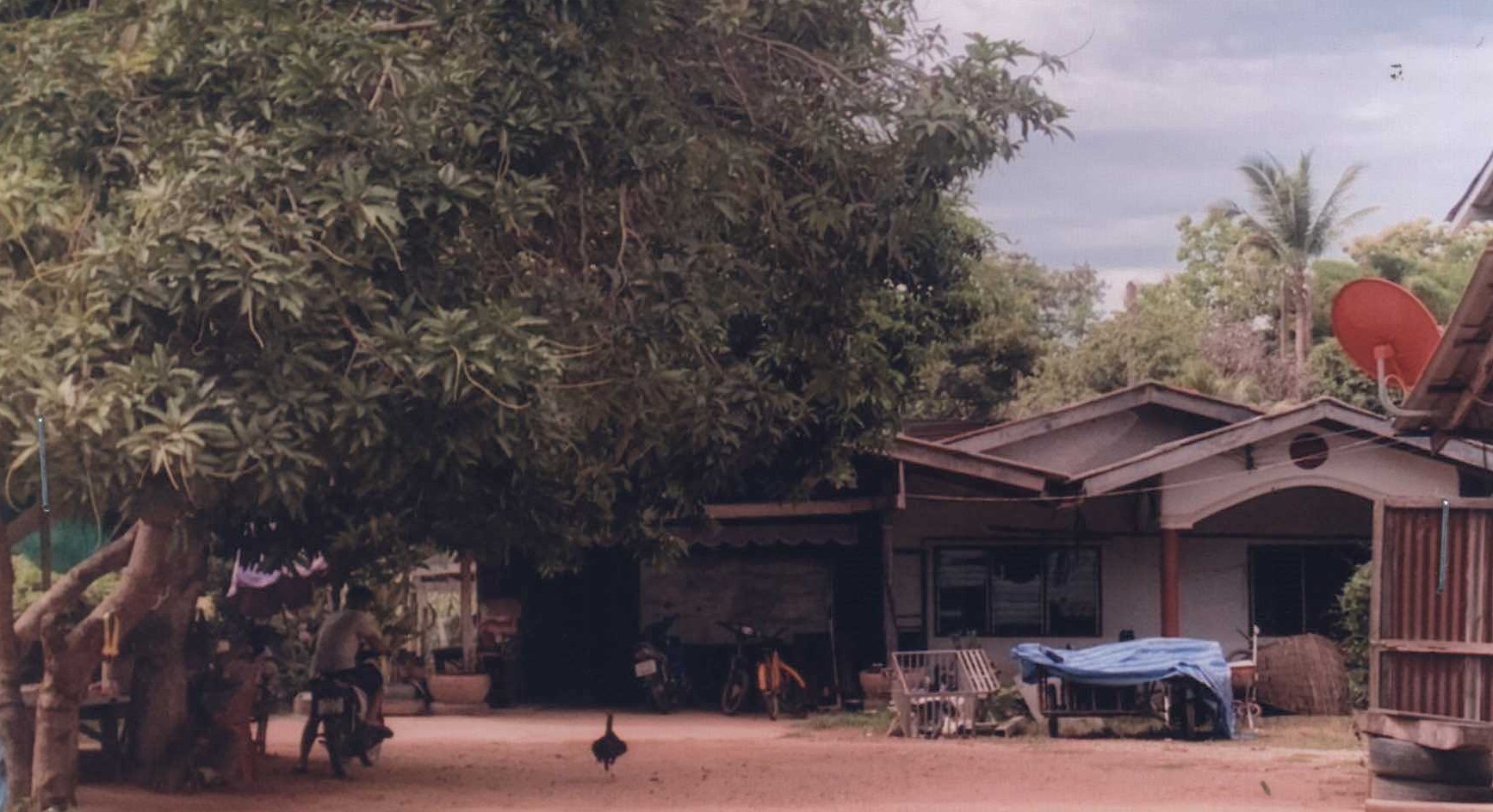 รูปที่ดินพร้อมสิ่งปลูกสร้าง บ้านดารา พิชัย อุตรดิตถ์
