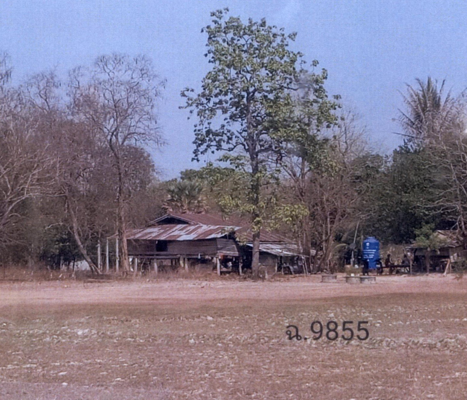รูปที่ดินพร้อมสิ่งปลูกสร้าง หนองไผ่ หนองขาหย่าง อุทัยธานี