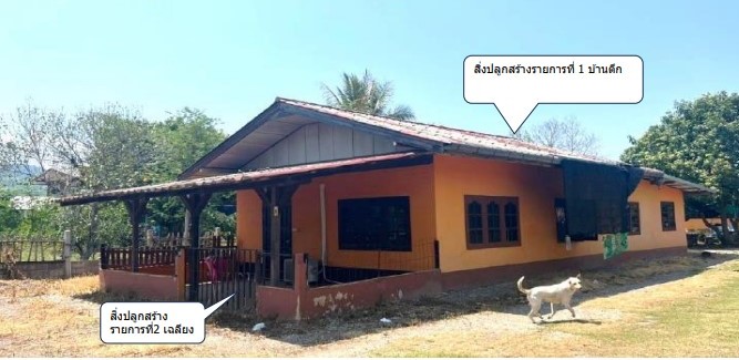 รูปที่ดินพร้อมสิ่งปลูกสร้าง วังชมภู เมืองเพชรบูรณ์ เพชรบูรณ์