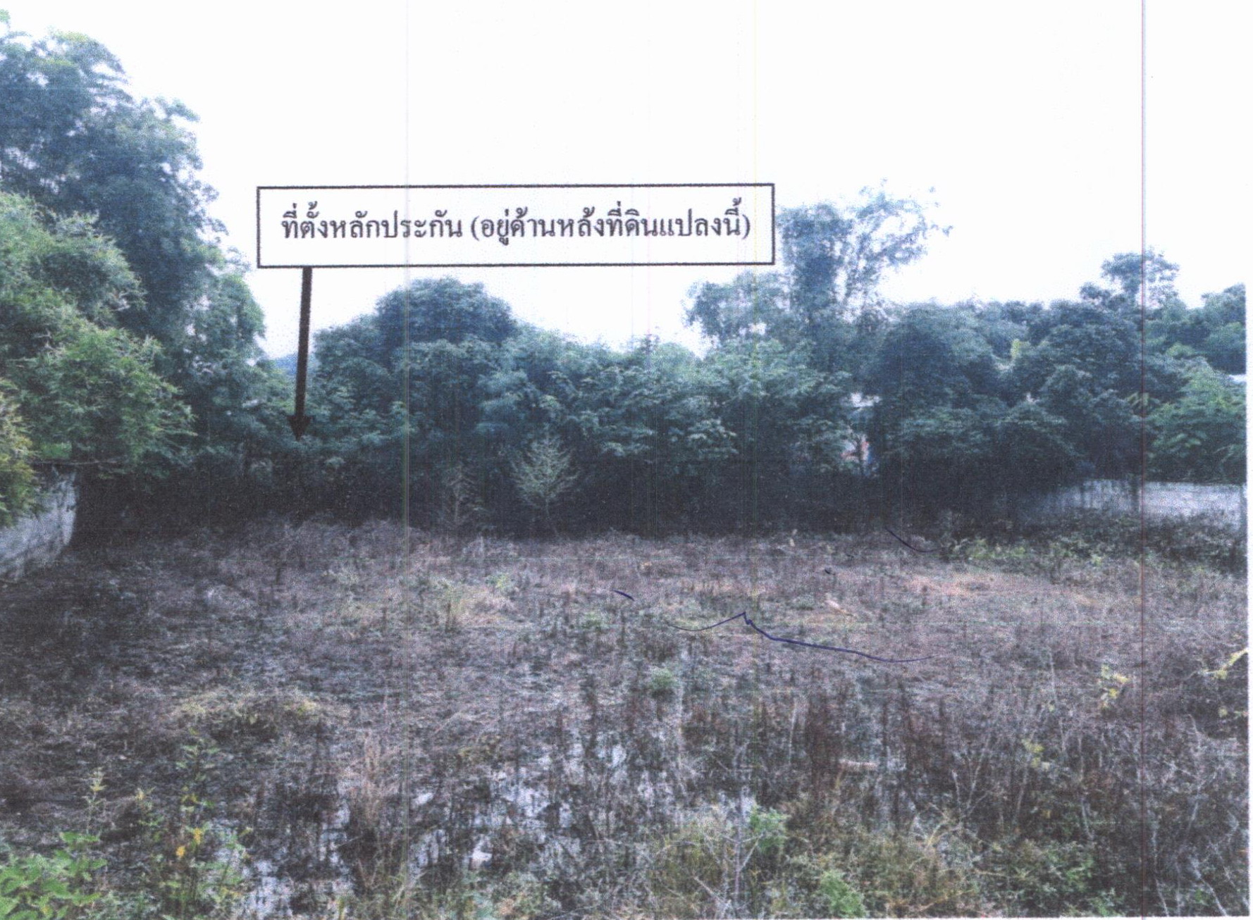 รูปที่ดินว่างเปล่า น้ำสวย เมืองเลย เลย