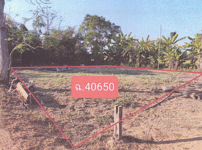 รูปที่ดินว่างเปล่า บ้านนา ศรีสำโรง สุโขทัย