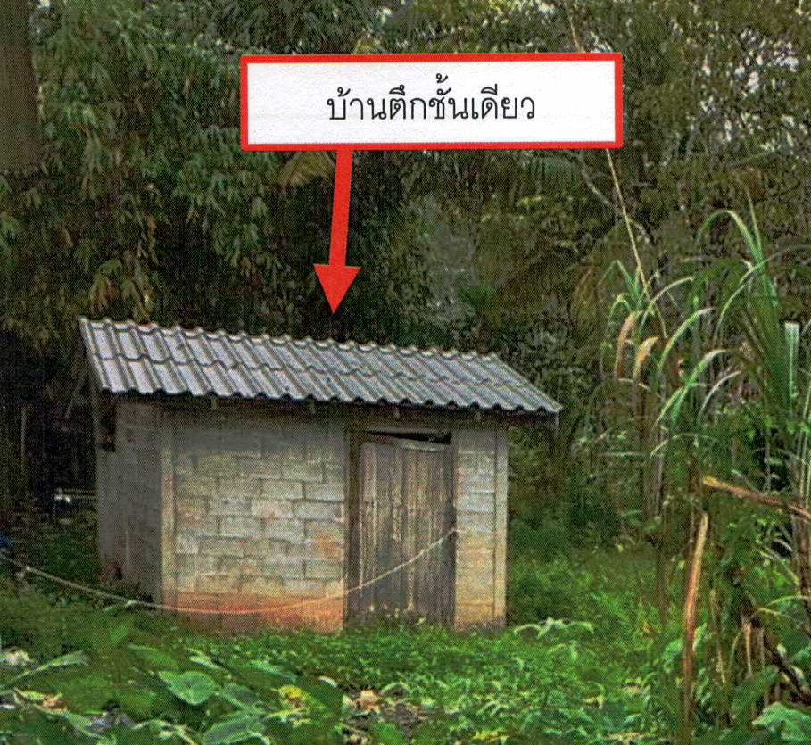 รูปที่ดินพร้อมสิ่งปลูกสร้าง แก้วแสน นาบอน นครศรีธรรมราช