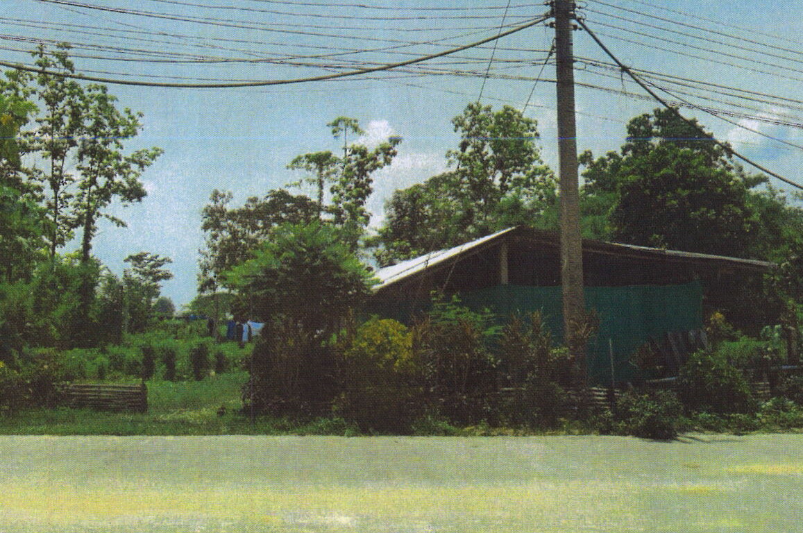 รูปที่ดินพร้อมสิ่งปลูกสร้าง เมืองพาน พาน เชียงราย