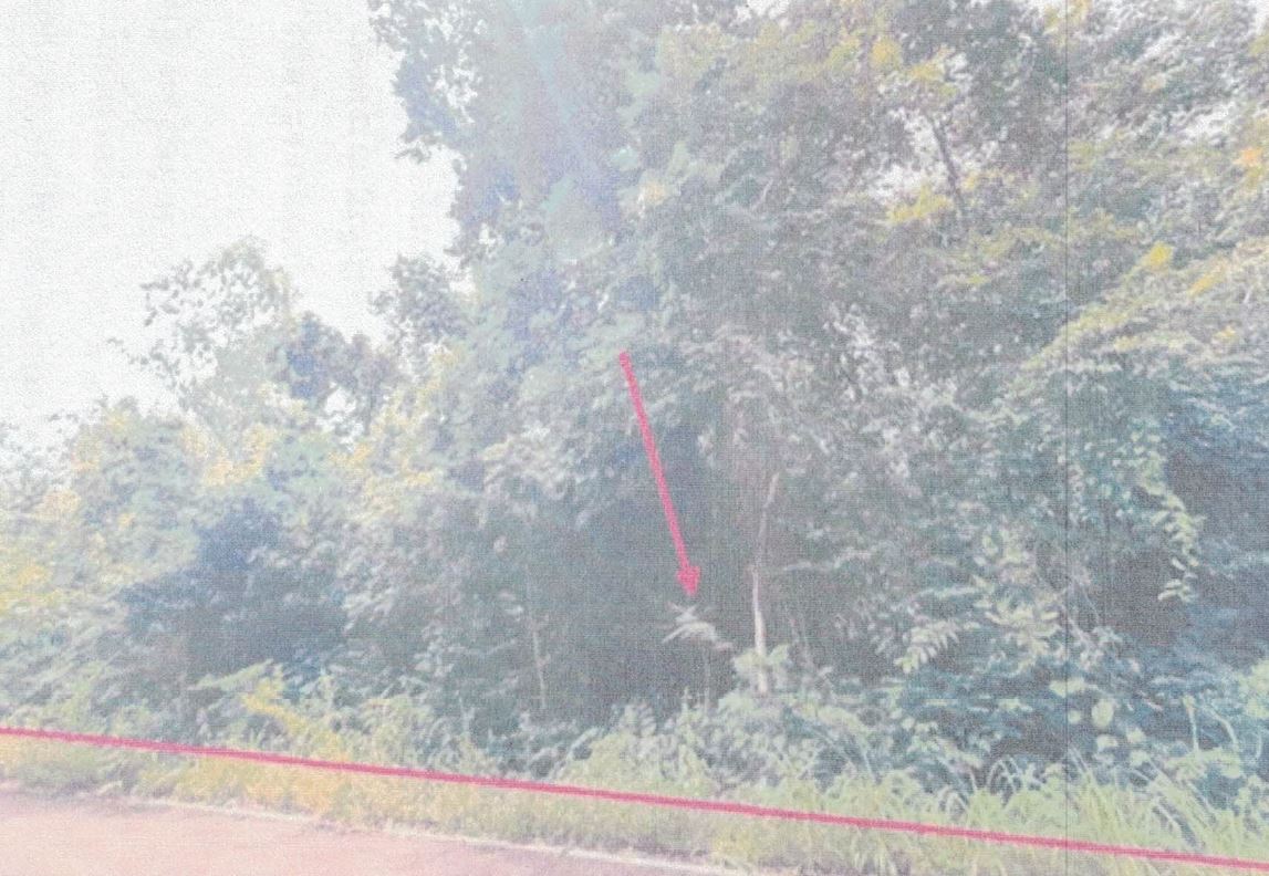 รูปที่ดินว่างเปล่า นาโส่ กุดชุม ยโสธร