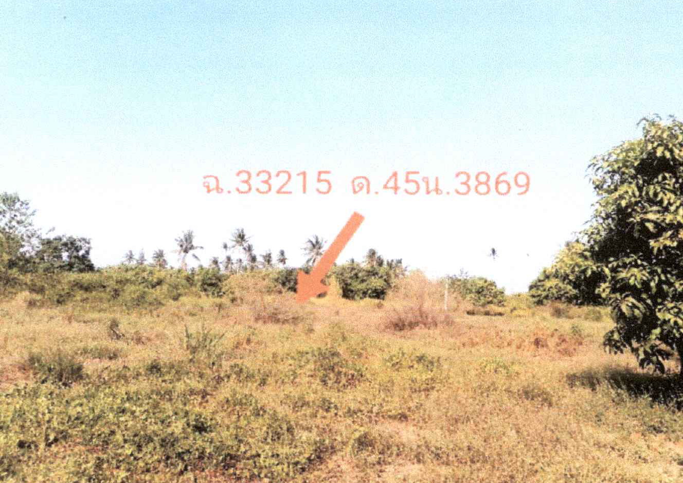 รูปที่ดินว่างเปล่า หนองตาแต้ม ปราณบุรี ประจวบคีรีขันธ์