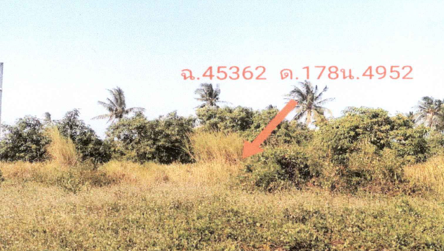 รูปที่ดินว่างเปล่า หนองตาแต้ม ปราณบุรี ประจวบคีรีขันธ์