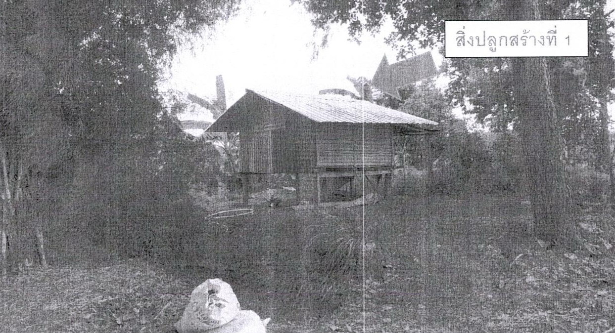 รูปที่ดินพร้อมสิ่งปลูกสร้าง หนองไผ่ ชุมแพ ขอนแก่น