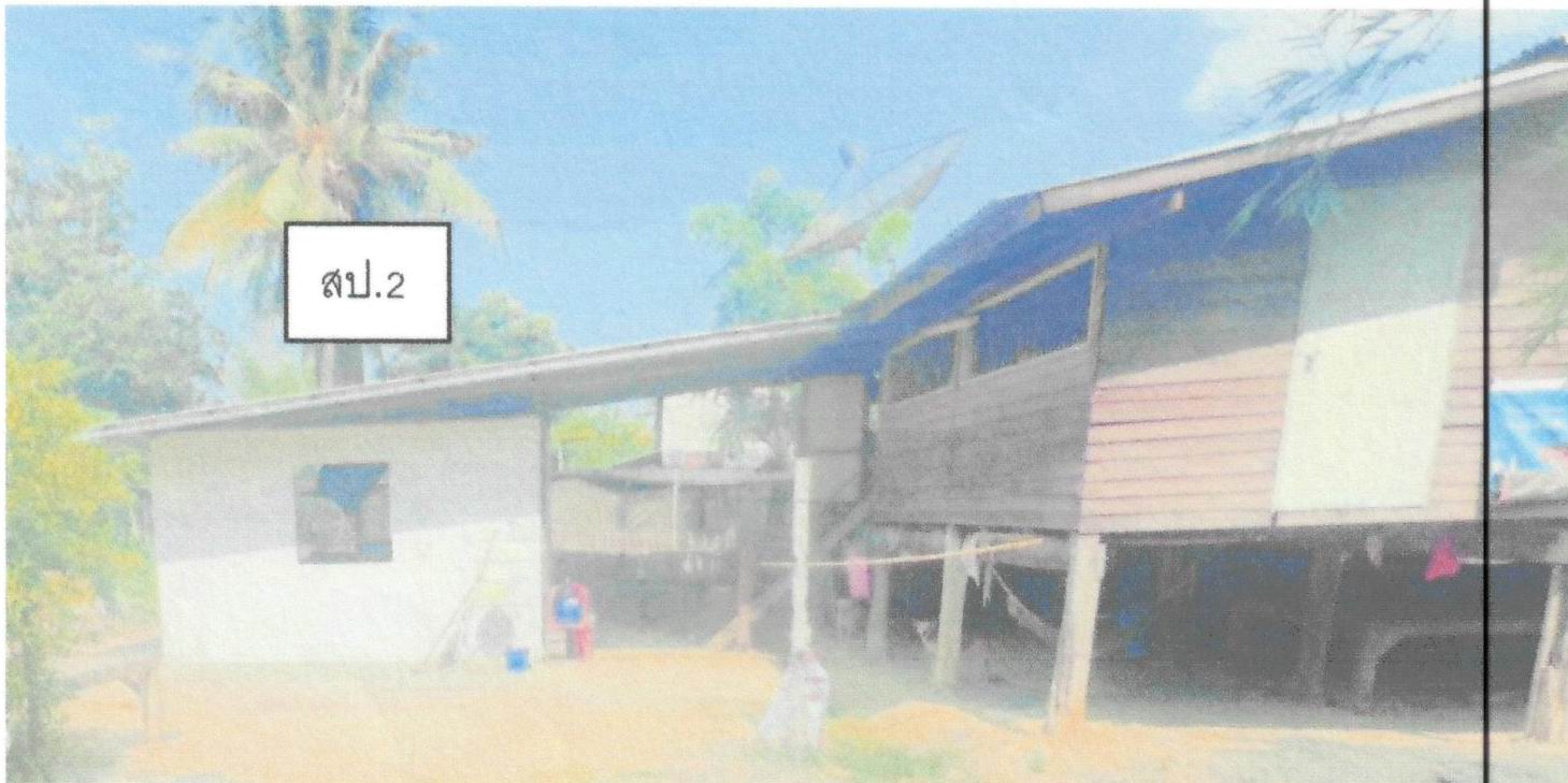 รูปที่ดินพร้อมสิ่งปลูกสร้าง ดงคอน สรรคบุรี ชัยนาท