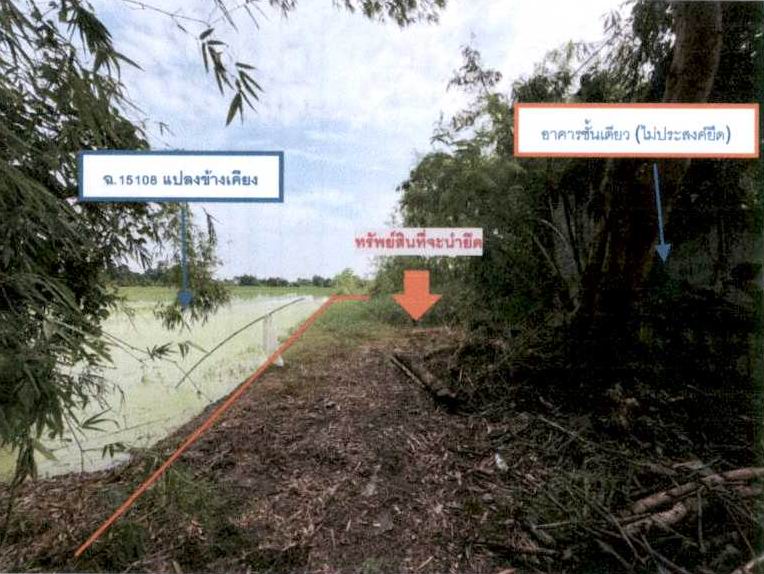 รูปที่ดินว่างเปล่า คลองพระยาบันลือ ลาดบัวหลวง พระนครศรีอยุธยา