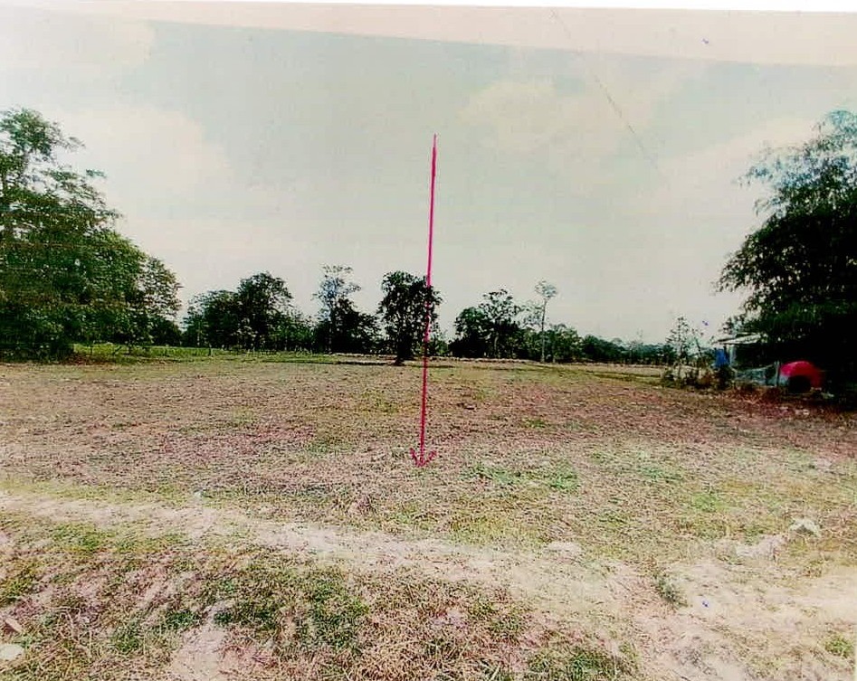 รูปที่ดินว่างเปล่า กันตวจระมวล ปราสาท สุรินทร์