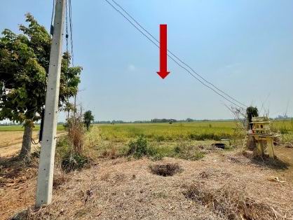 รูปที่ดินว่างเปล่า ทะนง โพทะเล พิจิตร