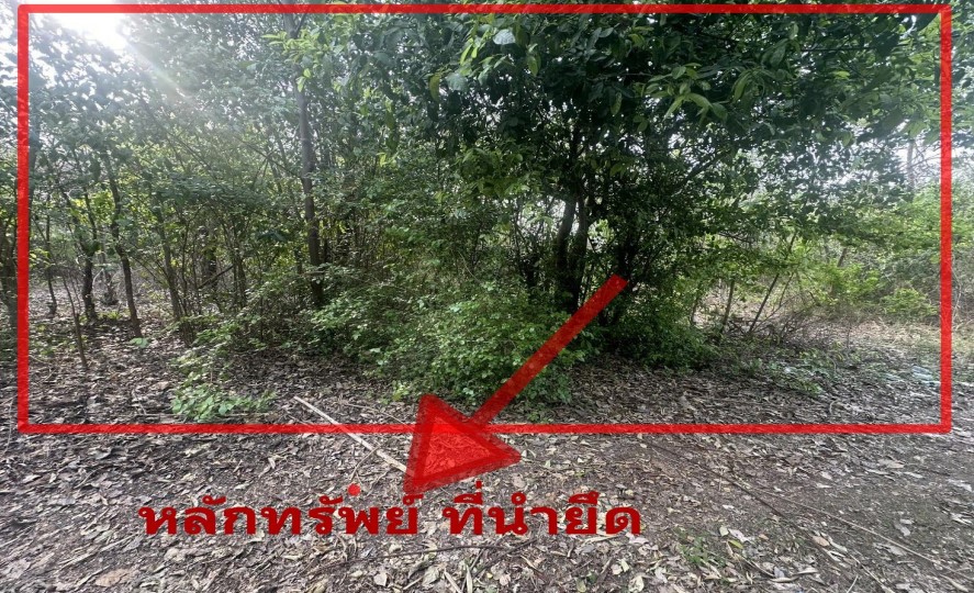 รูปที่ดินว่างเปล่า ดอนหัน เมืองขอนแก่น ขอนแก่น