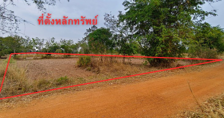รูปที่ดินว่างเปล่า โนนสูง ยางตลาด กาฬสินธุ์